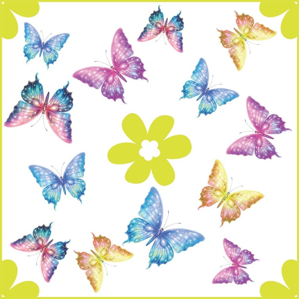 Summer Butterfies
